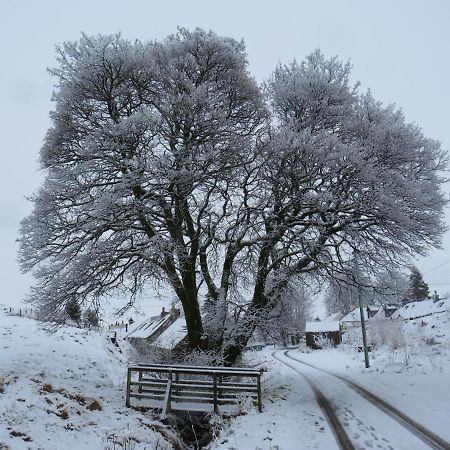 Forget Me Not Cottage Leadhills Luaran gambar